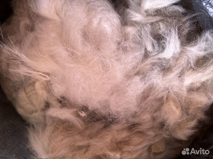 Продаю пух от самоедов, маламутов