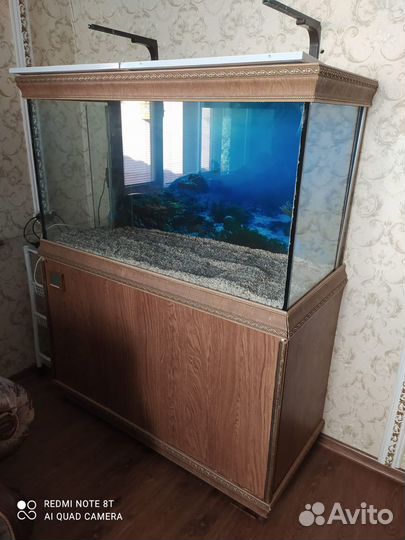 Аквариум