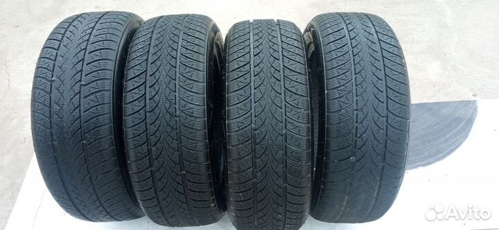 Triangle WinterX TW401 215/55 R17 98V