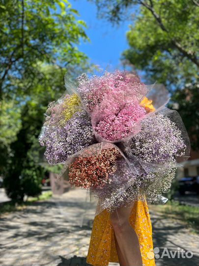 Букет Гипсофила Белая Цветная