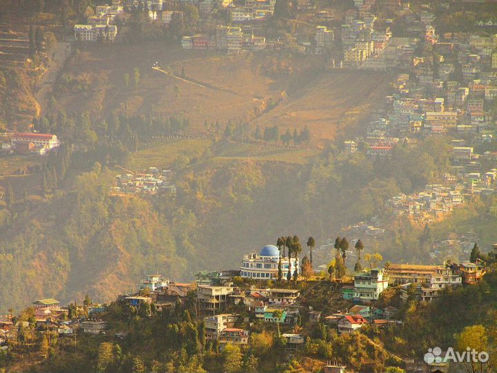 Voyage в Индию 6 ночей