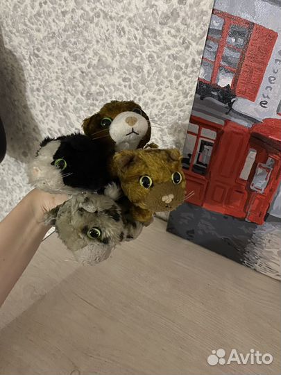 Коллекционные коты с журналами