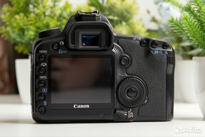 Canon 5D Mark II