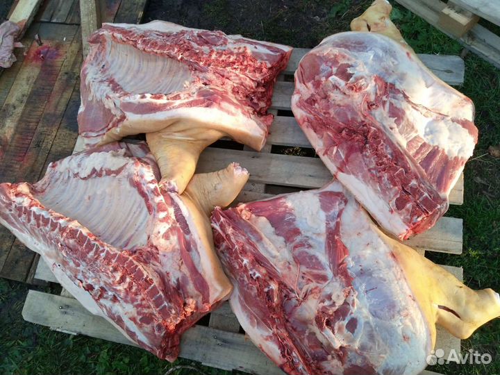 Мясо домашнего поросёнка