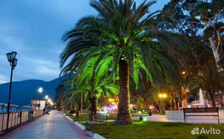 Тур в Гагру на 7 нч. без питания