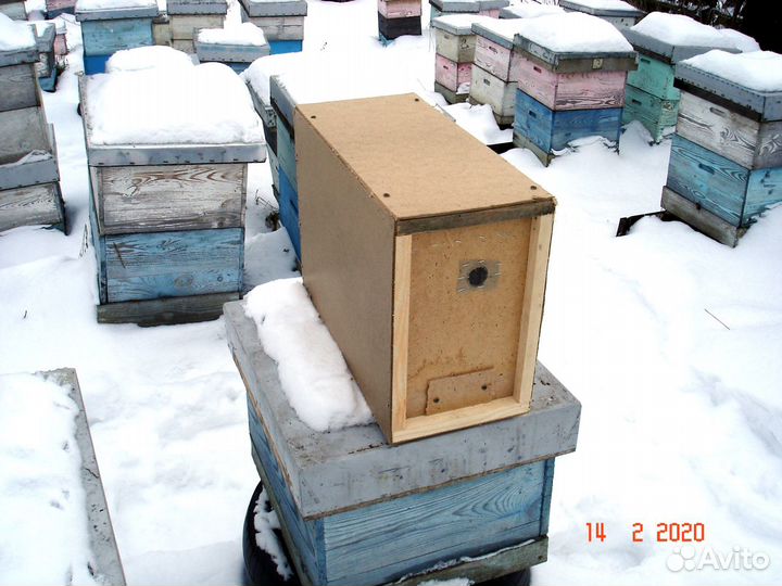 Добрые пчелы