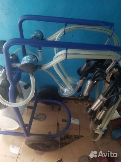 Доильный аппарат для коров бу