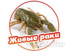 Живые раки Опт/розница