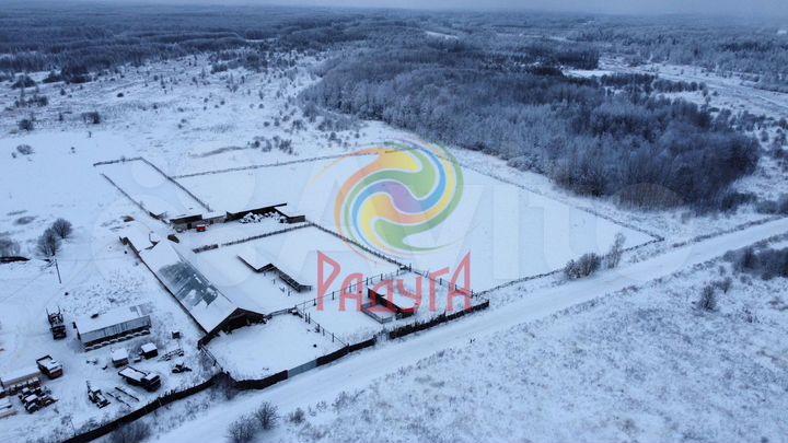 Готовый бизнес (Ферма и пилорама)