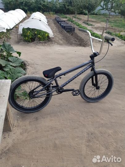 Bmx Tech Team grasshopper