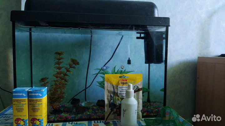 Аквариум с рыбками