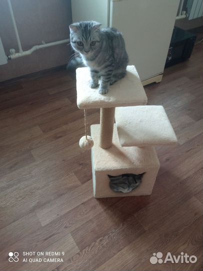 Домик для кошки бу