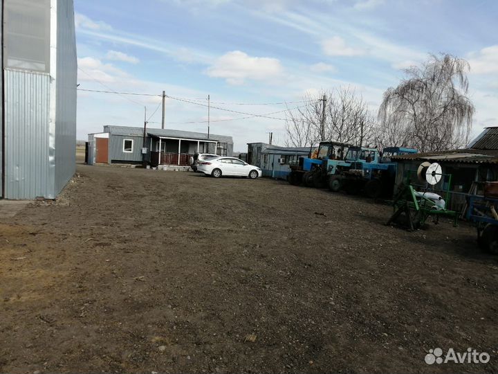 Продается производительная база кфх, на землях лпх