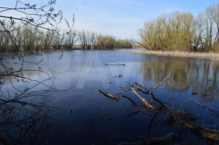 Участок 2 га (СНТ, ДНП)