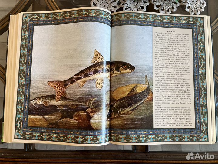Подарочная книга Русская рыбалка