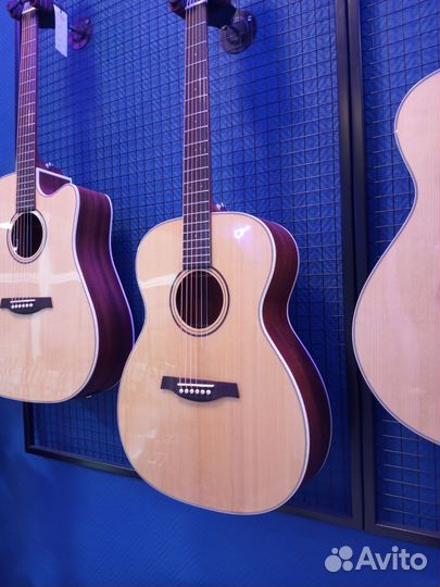 Акустическая гитара parkwood s22gt
