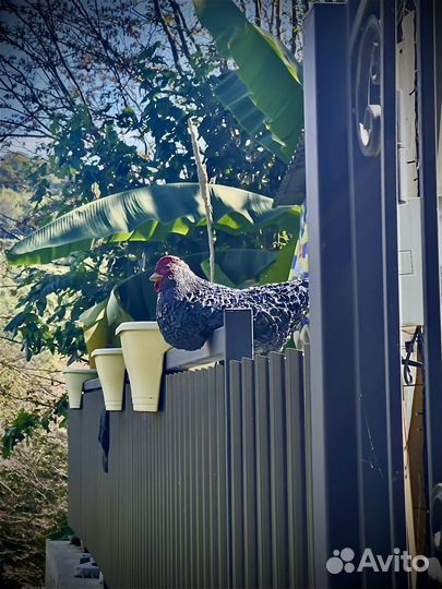 Фигурка курицы