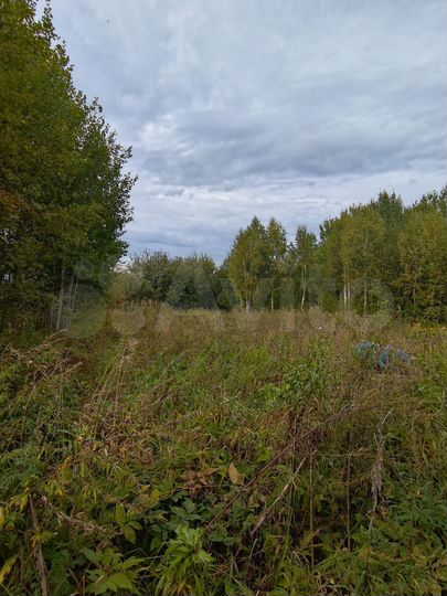 Участок 15 сот. (СНТ, ДНП)