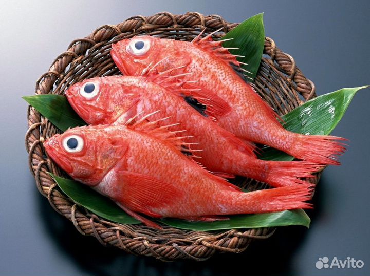 Франшиза рыбы и морепродуктов: начни бизнес