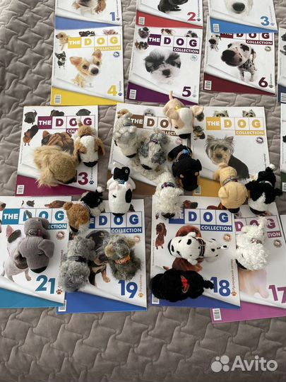 The dog collection