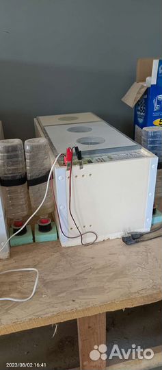 Инкубатор матрица вегас