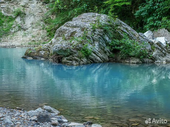 Экскурсия — Сочи — По следам динозавров в окрестно