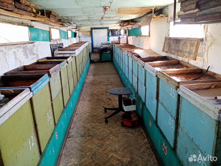 Пчелопавильон