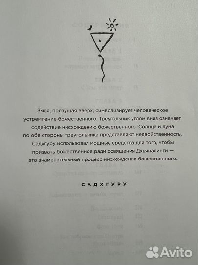 Размышления мистика Садхгуру