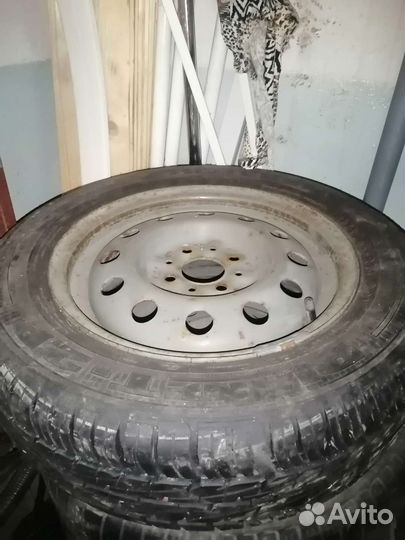 Accelera Alpha 175/65 R14