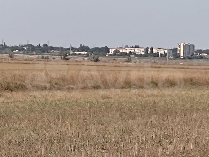 Участок 6 сот. (СНТ, ДНП)