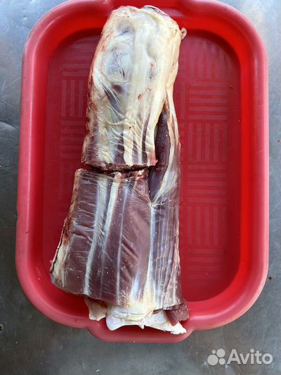 Мясо домашнее