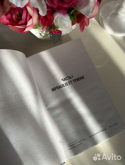 Кристина Старк «Крылья» книга