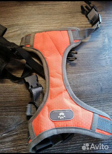 Шлейка для маленьких и средних собак