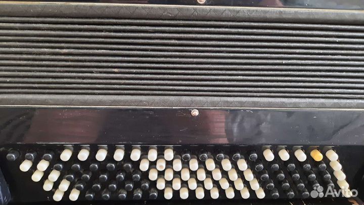 Баян кунгур