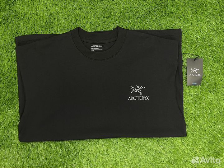 Футболка мужская Arcteryx