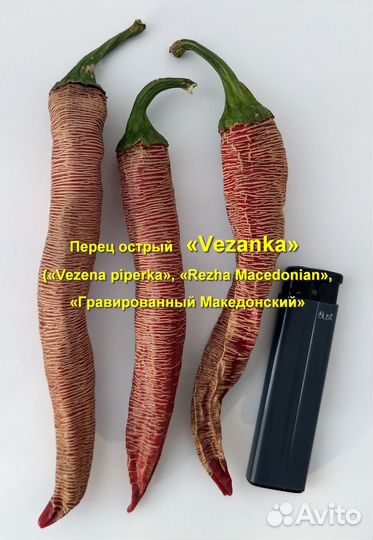 Перец чили «Везанка» («Vezena piperka») 10 семян