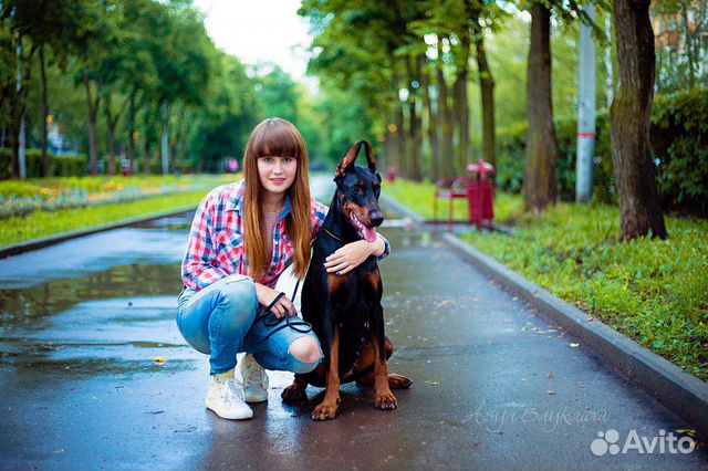 Передержка