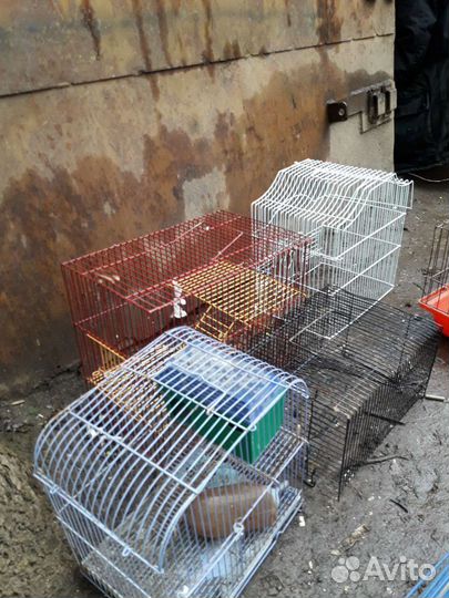 Клетки для птиц и грызунов