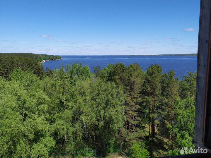 Спининг 2 шт