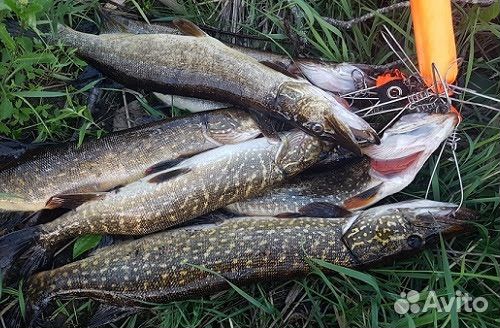 Рыбалка с лодки