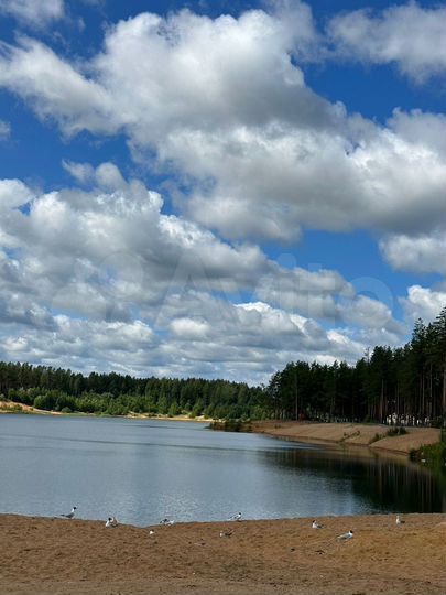 Участок 8 сот. (СНТ, ДНП)