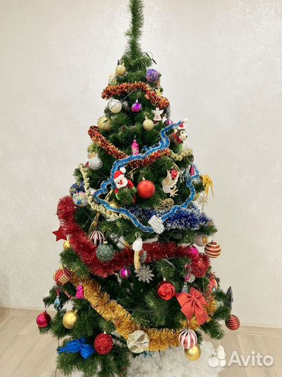 Сосна новогодняя