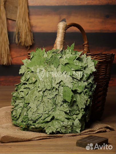 Кленовый веник для бани