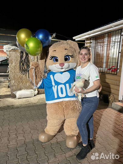 Белые несушки)