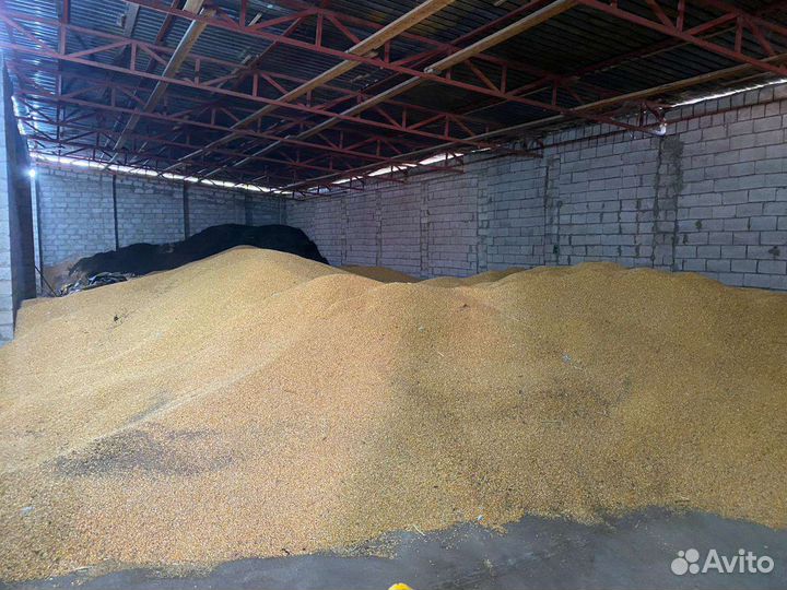 Продажа оптом