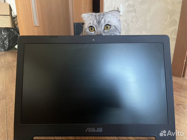 Ноутбук asus k56c