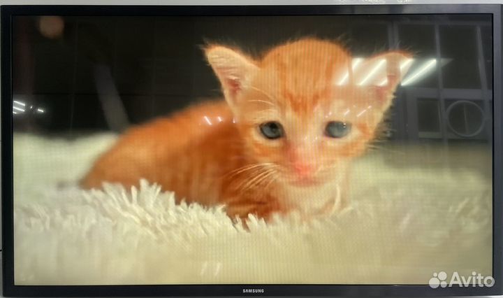 Телевизор Samsung UE32J5205AK