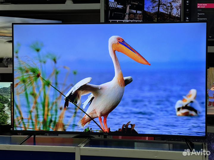 Телевизор 55