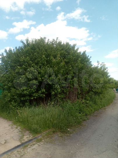 Участок 5 сот. (СНТ, ДНП)