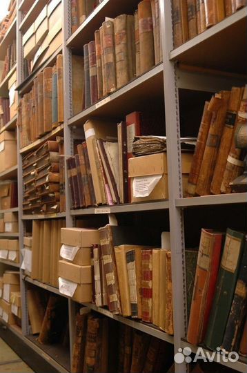 Поиск предков